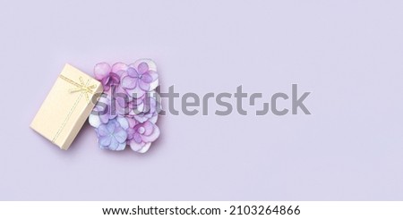 Plain natural Hydrangea flower, minimal floral style Very Peri colored. Opening gift box with fresh flowers. Spring holiday concept, for Mothers day, 8 March, Womens day. Banner with copy space