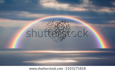 Heart of birds with rainbow - Birds silhouettes flying above the calm sea at sunset