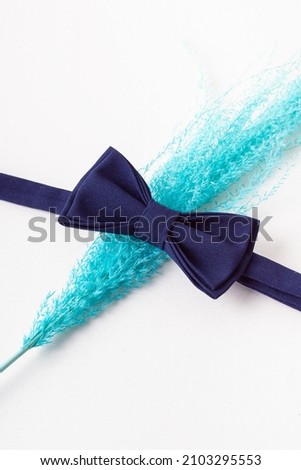 Blue bow tie and dried flowers on light background