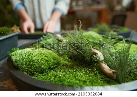 Woman is making picture with green plants