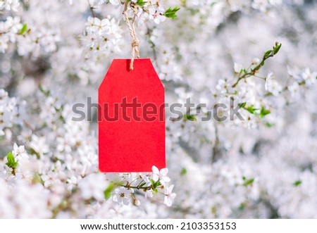 blank red paper tag hanging on branches of blooming plum tree in spring garden