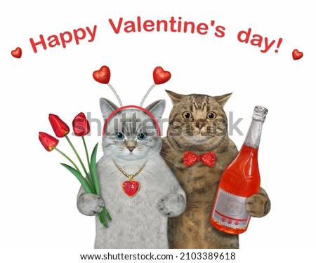 Two cats in love are near with a bouquet of red tulips and a bottle of champagne. White background. Isolated.