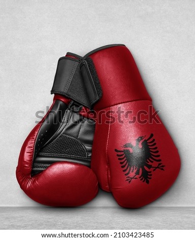 Albania Boxing Gloves on flor with country flag painted on