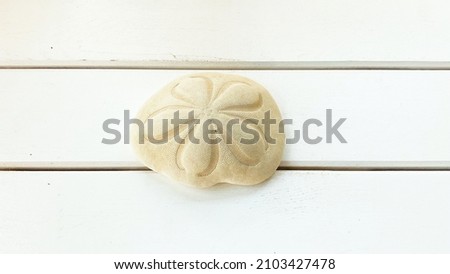 Isolated sea shells, dessert rose, sea coral on white wooden background, top view