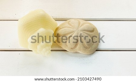 Isolated sea shells, dessert rose, sea coral on white wooden background, top view