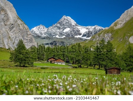 Summer mountain landscape, view of the snow-covered Grossglockner from Koednitztal, blooming mountain meadow with alpine huts, Tyrol, Austria, Europe Royalty-Free Stock Photo #2103441467