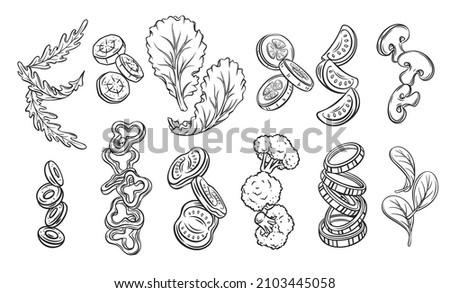 Flying or falling sliced vegetables, lettuce and greens. Sketch of tomatoes, arugula, olives, cucumbers, peppers, broccoli, etc. Engraved chopped vegetables for healthy cooking vector illustration Royalty-Free Stock Photo #2103445058