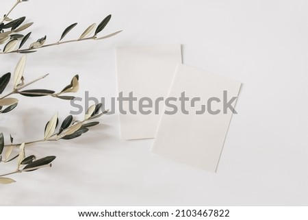 Summer stationery still life concept. Two blank greeting cards mockups. Olive tree branches isolated on white table background. Wedding invitations. Flat lay, top view. Minimal design, nobody.