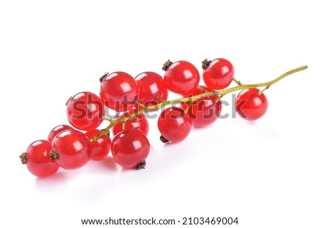 Red Currant cluster isolated on white background Royalty-Free Stock Photo #2103469004