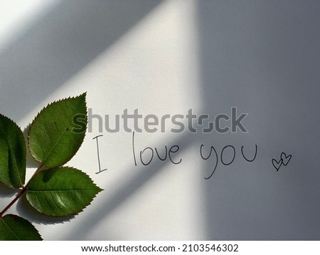 Hand written I love you. Photo on white background with green leaves. Copy space. Top view.