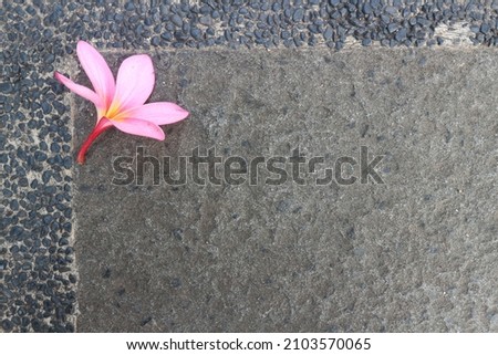 pink flowers in the top corner of a stone floor background great for quotes