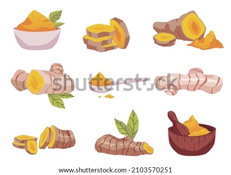 Turmeric or curcuma spice icons or symbols. Turmeric herbal medicine and food ingredient in root and powder, flat vector illustration isolated on white background. Royalty-Free Stock Photo #2103570251