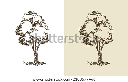 Beautiful vector tree silhouette outline vector icon for nature apps and websites
