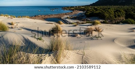 Sand dunes shaped by the wind in Capo Comino, east coast of Sardinia Royalty-Free Stock Photo #2103589112