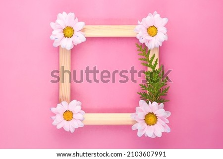wooden frame with chrysanthemum flowers. Beautiful white chrysanthemum flowers, wooden photo frame on a very beautiful pink background top view, flat surface Women's Day, Flower card.