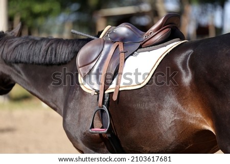 Close up of a sport horse saddle. Old quality leather saddle ready for show jumping  event. Equestrian sport background outdoors Royalty-Free Stock Photo #2103617681