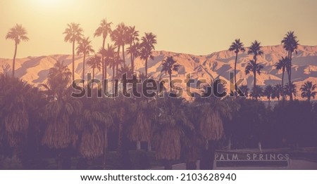 Palm Springs Matt Violet Color Grading Panorama. Palm Trees and Mountains in a Background. Coachella Velley California, United States of America. Royalty-Free Stock Photo #2103628940