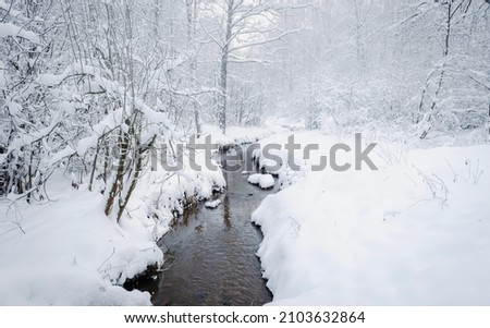 The river flows in a snow-covered frosty forest. Forest landscape during the cold season. Blue snow falls on trees in the park. Frosty snowy beautiful winter