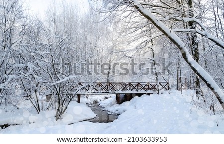Bridge over the river in a snow-covered frosty forest. Forest landscape during the cold season. Blue snow falls on trees in the park. Frosty snowy beautiful winter
