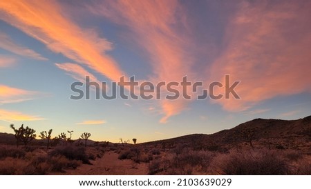 Sunset over the Mojave Desert, Joshua Tree National Park, California.  Royalty-Free Stock Photo #2103639029