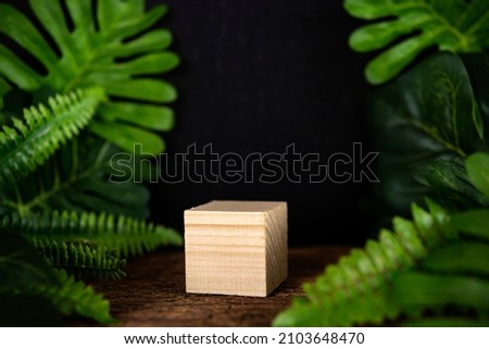 Wooden blocks on black background with green leaves. Display scene concept for merchandise. Promotion, sale, presentation of cosmetic products