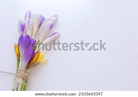 Bouquet of Lilac and yellow crocuses on a white background with copy spase. First spring flowers. Spring Day, March 8, Mother's Day.