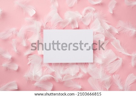 Top view photo of paper sheet and feathers on isolated pastel pink background with blank space