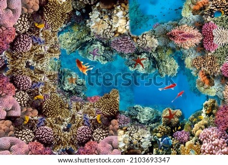 Sea. corals. top view. Image for 3d floors. Fish. bottom.