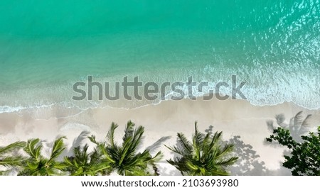 Summer background of Aerial view  the tropical beach  background with palm trees  and white sand beach seashore