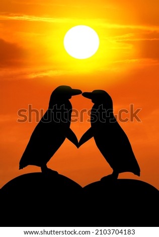 Silhouettes of two penguins in love on the background of the sunset, cute penguins in a warm embrace under the sun