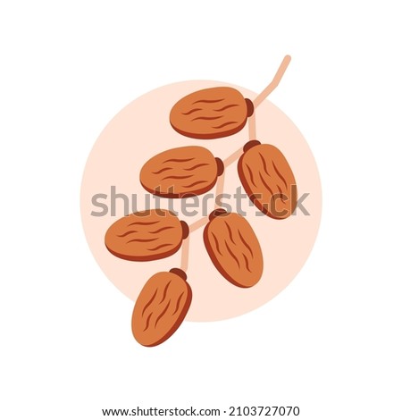 isolated fresh dates on white background, simple vector fresh dates with separated layers