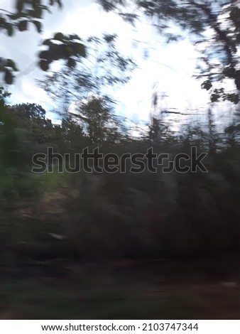 DEFOCUSED AND SUPER BLURRY CREEPY FOREST FOR CREEPY BACKGROUND