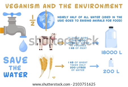 Veganism and the environment. Global warming infographics. Ecology, healthcare, healthy eating infographic with useful examples. Horizontal poster. Editable vector illustration on a white background.