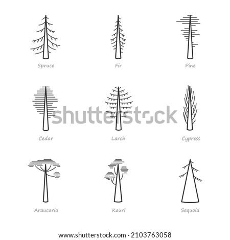 Simple set of coniferous trees related vector icons. Contains icons as araucaria, cedar, cypress, fir, pine and more. Royalty-Free Stock Photo #2103763058