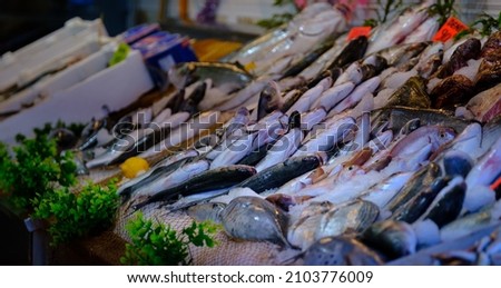 Fresh food sale. Fresh seafood on ice at the fish market.  Royalty-Free Stock Photo #2103776009