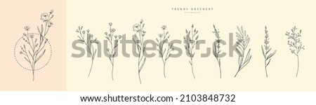 Floral branch and minimalist flowers for logo or tattoo. Hand drawn line wedding herb, elegant leaves for invitation save the date card. Botanical rustic trendy greenery Royalty-Free Stock Photo #2103848732