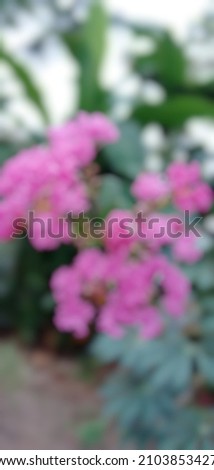 blurry picture of beautiful pink flowers in front of the house