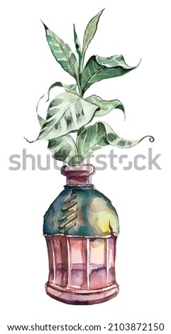 Watercolor hand painted plant isolated on a white background. Kitchen plants illustration. Garden vintage concept  design.Gardening concept.