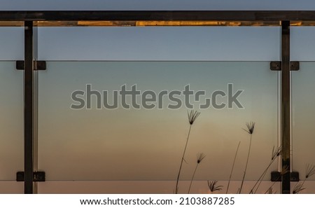 Pampas grass plumes grows on the floor outside of glass balcony with sky background. Space for text, No focus, specifically.