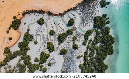 Aerial view of the Arabian Mangroves  Royalty-Free Stock Photo #2103945248