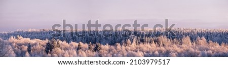 Wonderful winter scenery. Beautiful snowy forest, with a small church among the trees, against the backdrop of a frosty sky. Panorama.