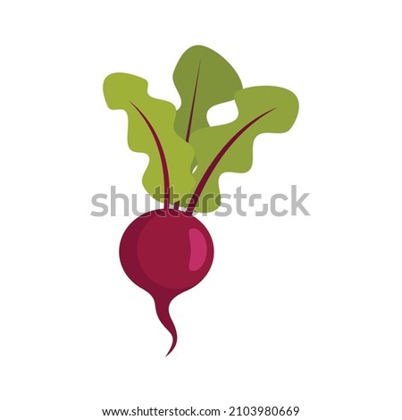 Organic beet icon. Flat illustration of organic beet vector icon isolated on white background Royalty-Free Stock Photo #2103980669