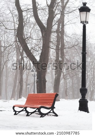 Empty park with wooden bench vintage lanterns trees covered by white snow. Winter season landscape. Atmospheric city street photo snowy day. Wintertime walk cold weather frost scene.