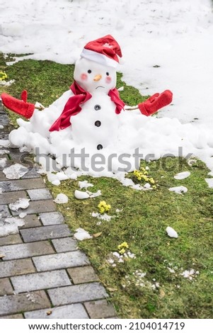 Unhappy snowman in mittens, red scarf and cap is melting  outdoors in sunlight on snowy green grass with small yellow flowers near wet pavement. Approaching spring, warm winter, climate change concept