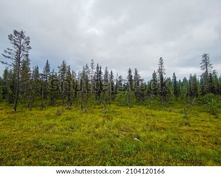 forest and clouds sky and clouds, beautiful photo digital picture , picture taken in Sweden, Europe , Digital created image Picture