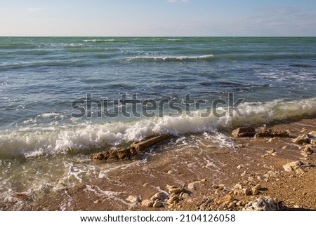 Sea shore with surf in the sunny windy day