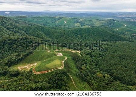 Pinus reforestation in a deforested area of native Atlantic Rainforest. Royalty-Free Stock Photo #2104136753