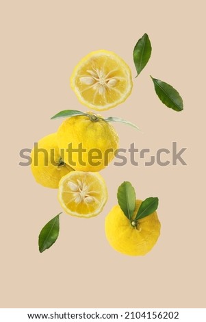 yuzu fruits isolated on a light brown background  Royalty-Free Stock Photo #2104156202