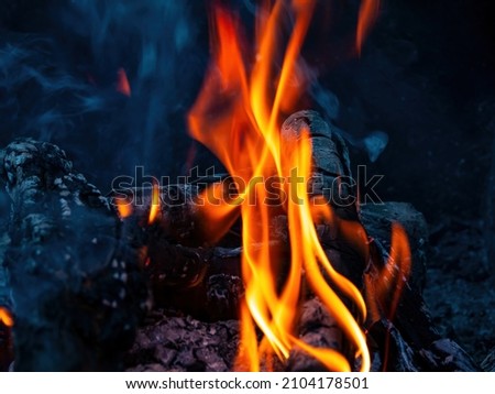 Orange flames of fire of a wood fire. The heat of a wood fire. Tourist place in nature in the forest. Cooking on the grill. Background image. Free space for text.