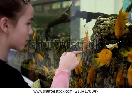 A teenage girl looks at the goldfish in the aquarium.